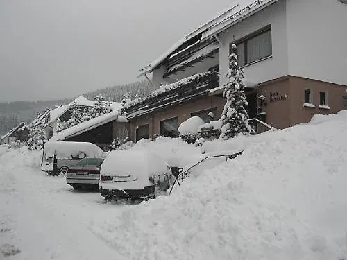 Haus Hubertus Winterberg